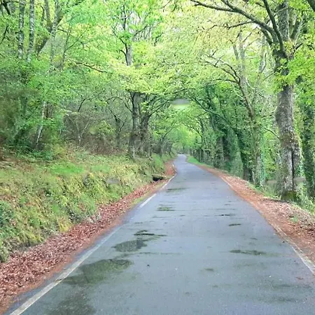 Σπίτι διακοπών Casa Da Canella - En La Ribeira Sacra *