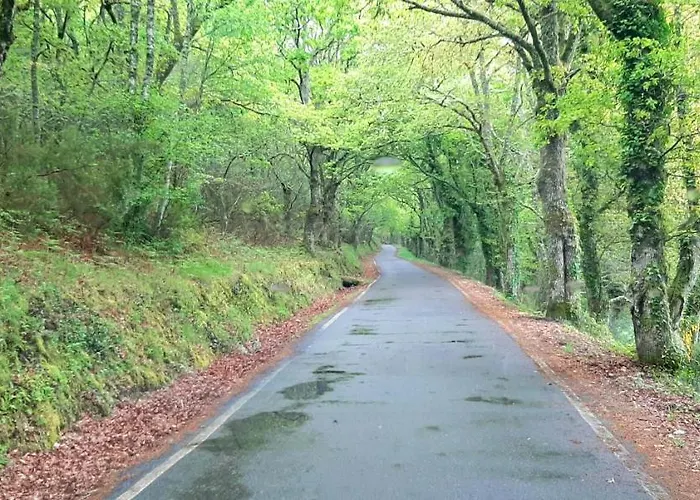 度假居 Casa Da Canella - En La Ribeira Sacra *